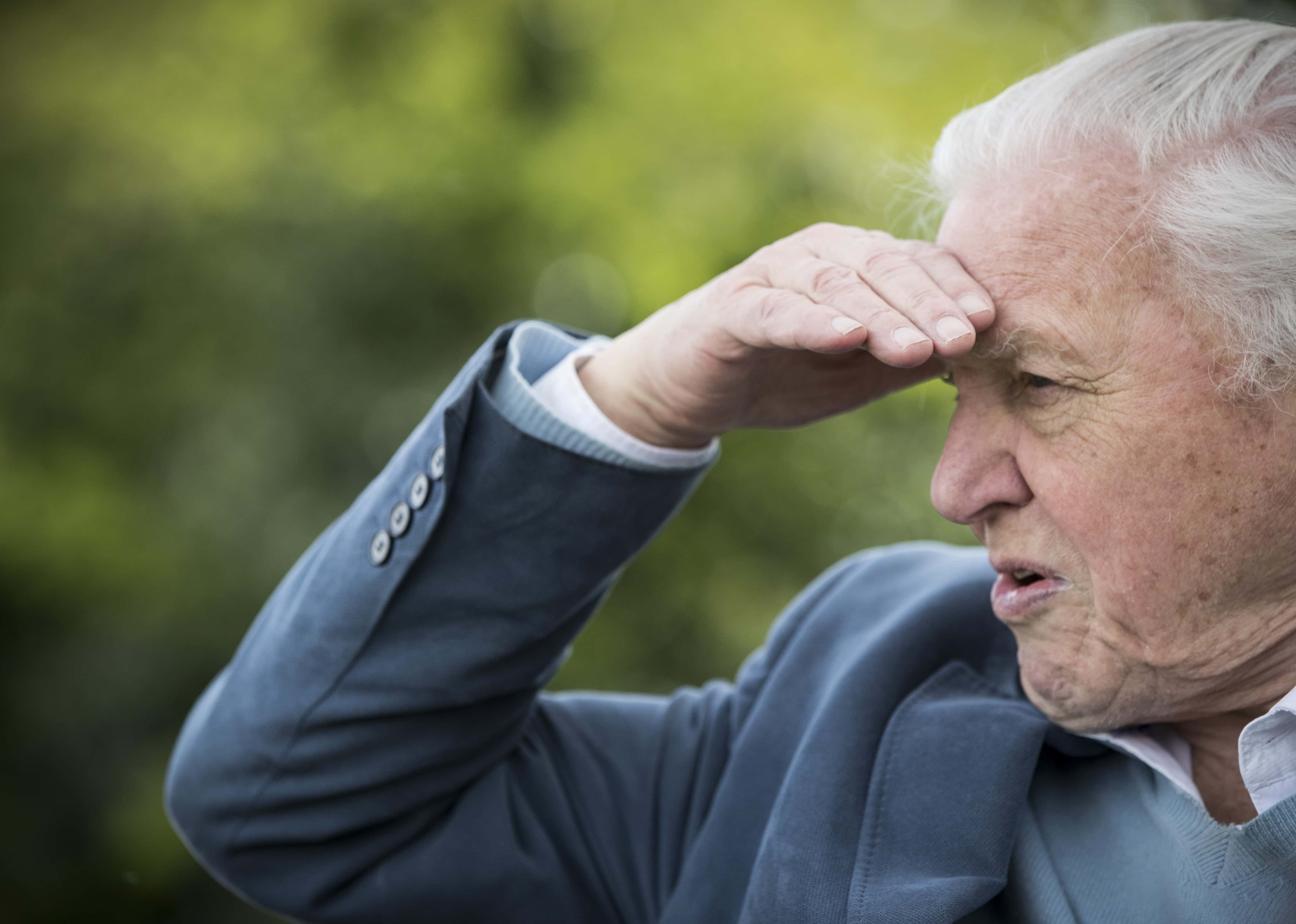 Sir David Attenborough Opens Woodberry Wetlands. - 2016