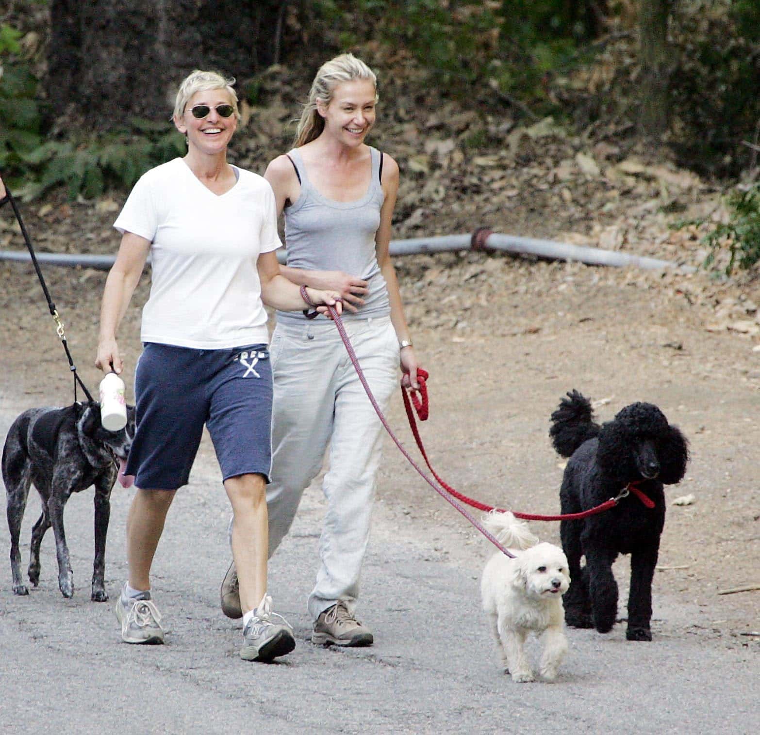EXC ELLEN DEGENERES WALKING HER DOGS WITH HER WIFE, PORTIA DE ROSSI.