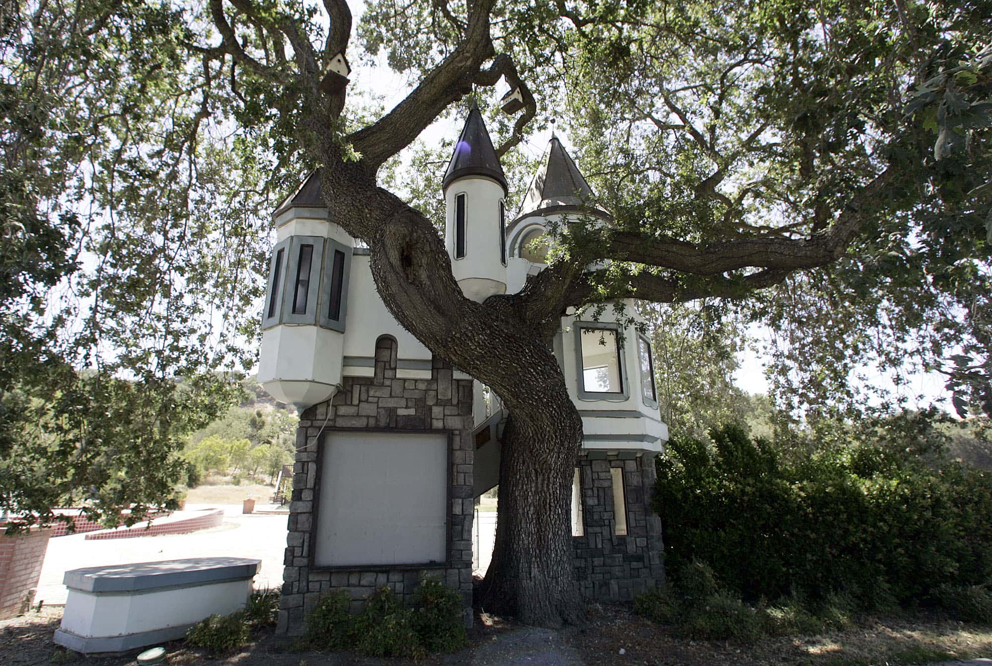 Michael Jackson facts