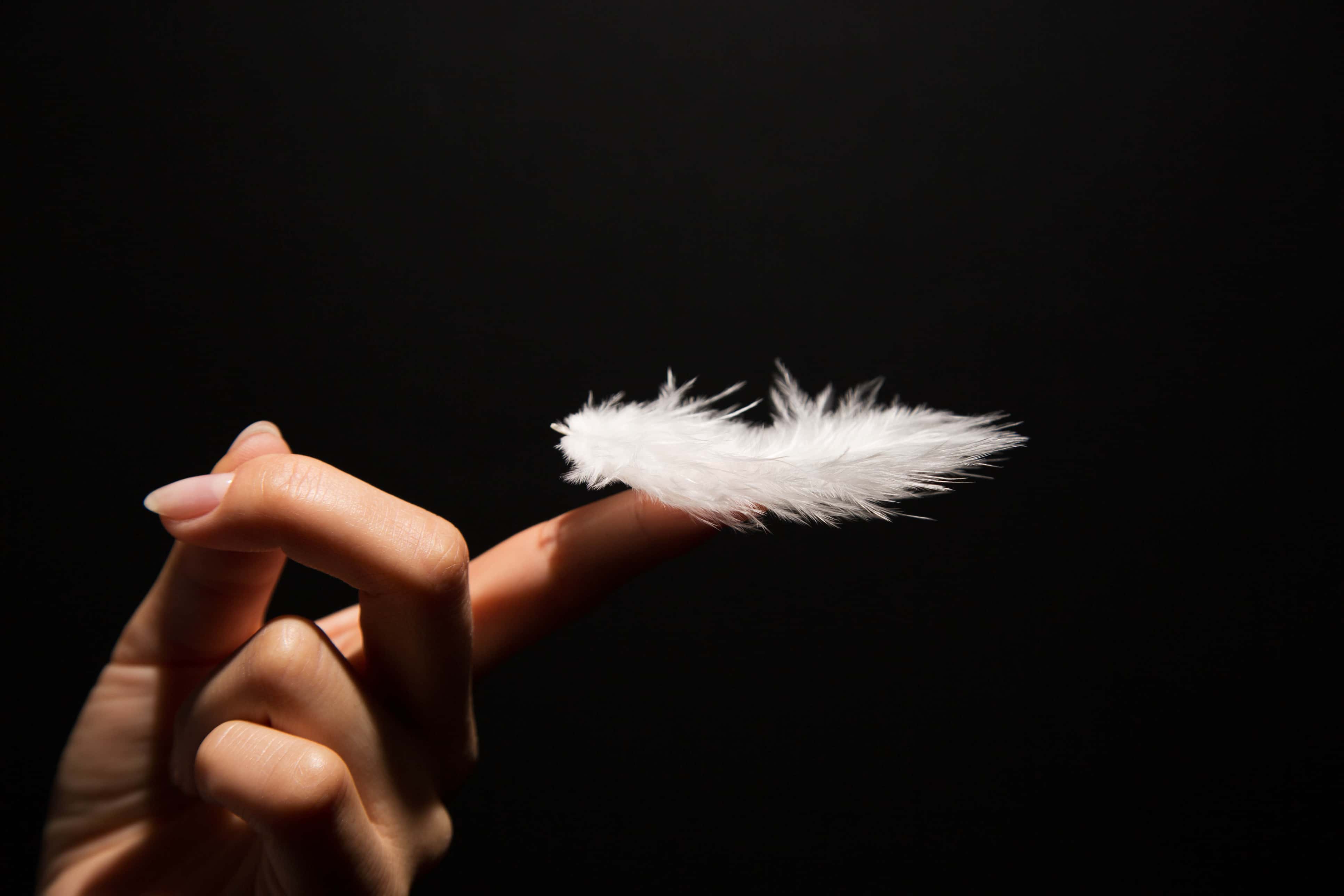 Close-up photo of a white feather on finger