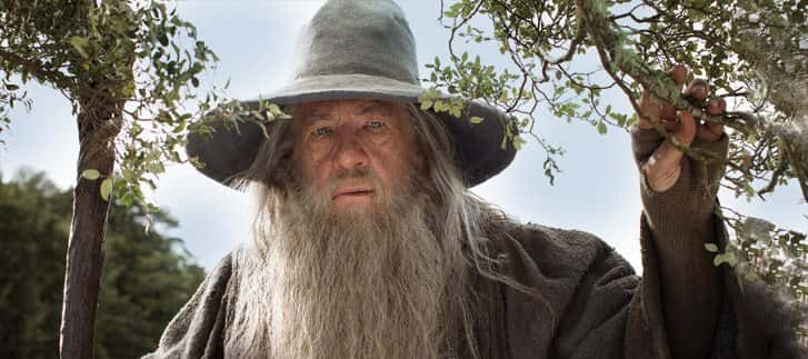 Lord of the Rings facts