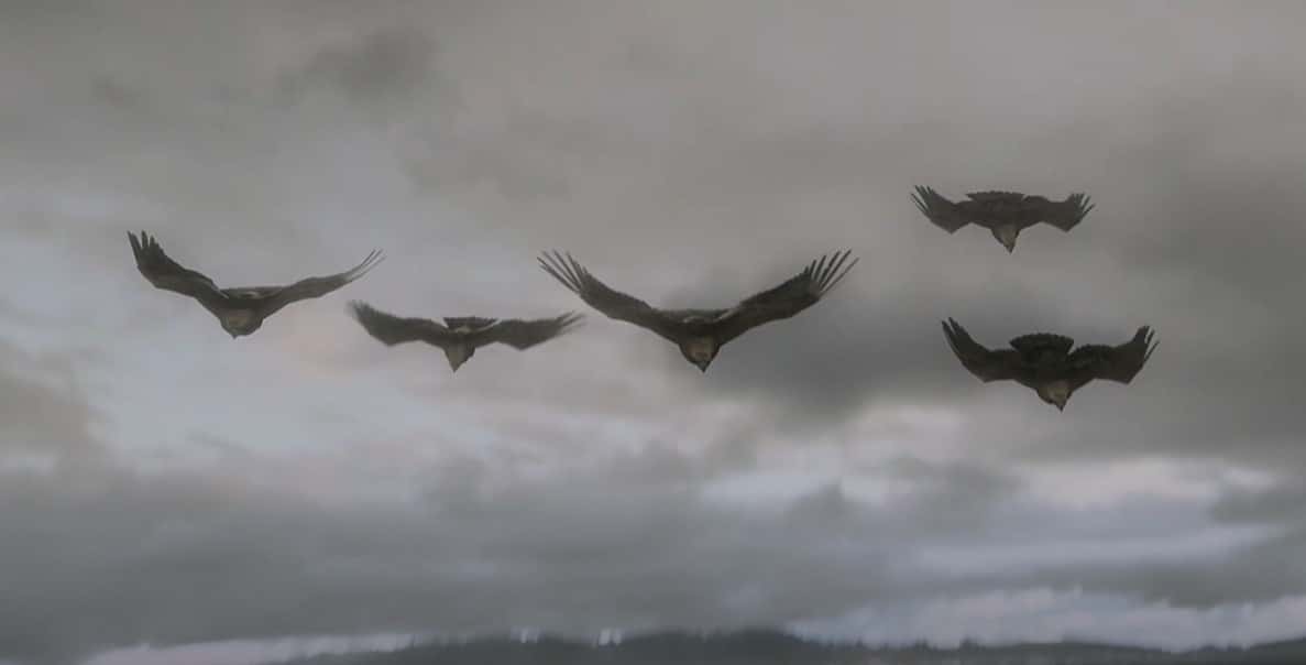 Lord Of The Rings facts