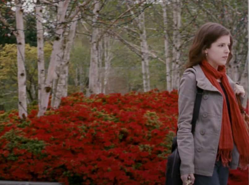 Photo of the Actress Anna Kendrick from the movie 50/50, wearing gray jacket, red scarf, looking to the right