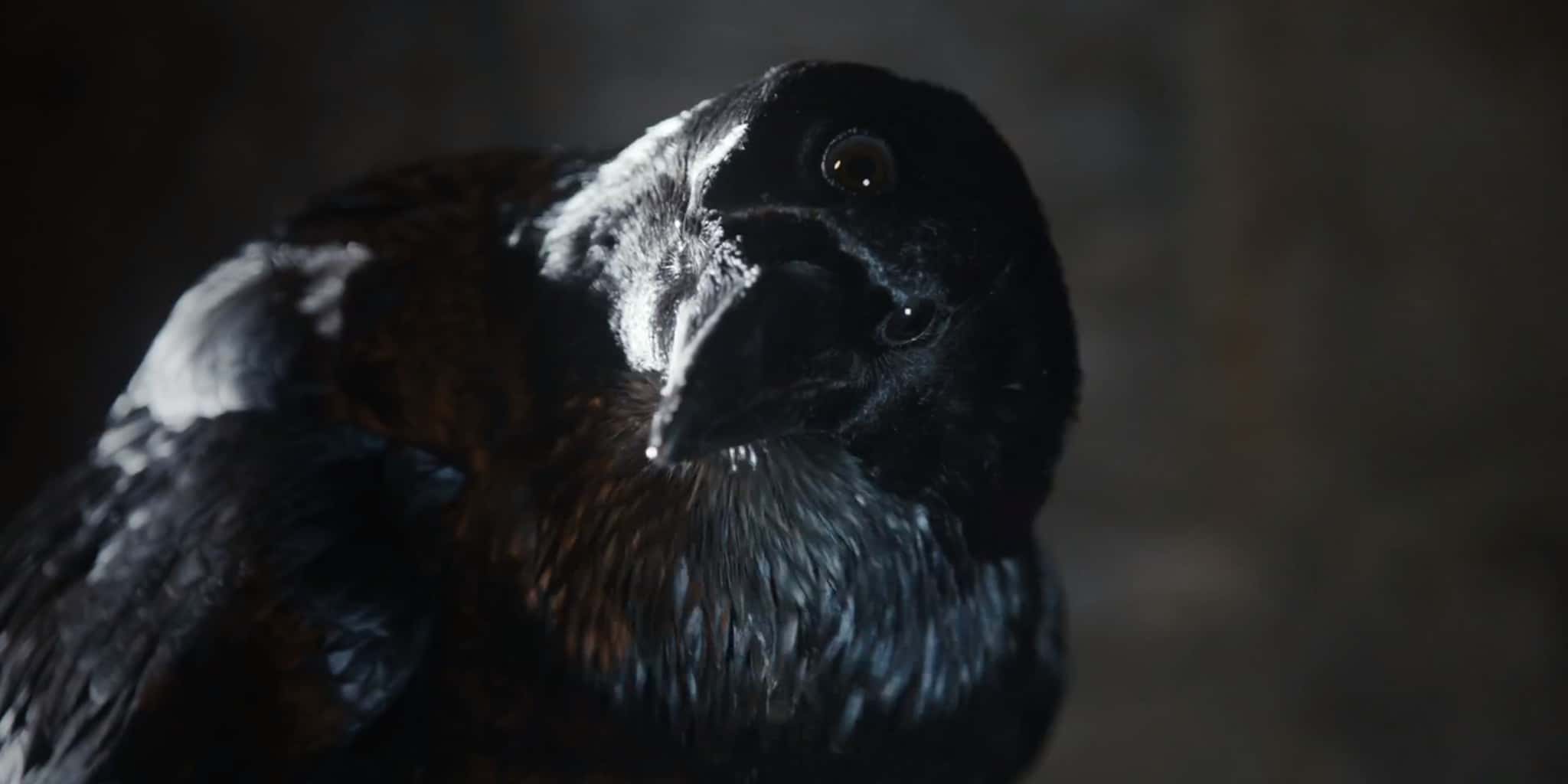 Game of Thrones facts