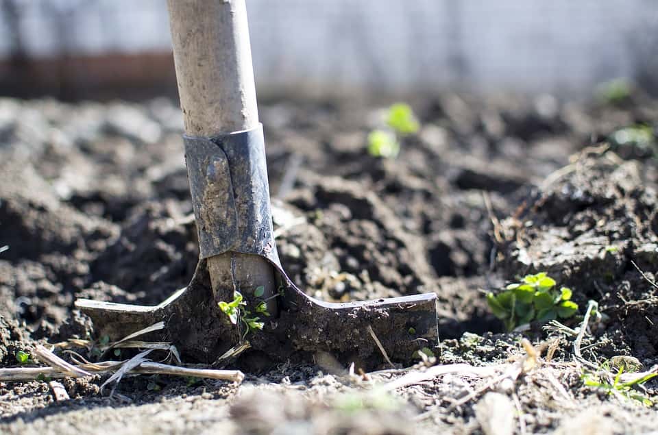 Close-up photo of a shovel stuck in the ground