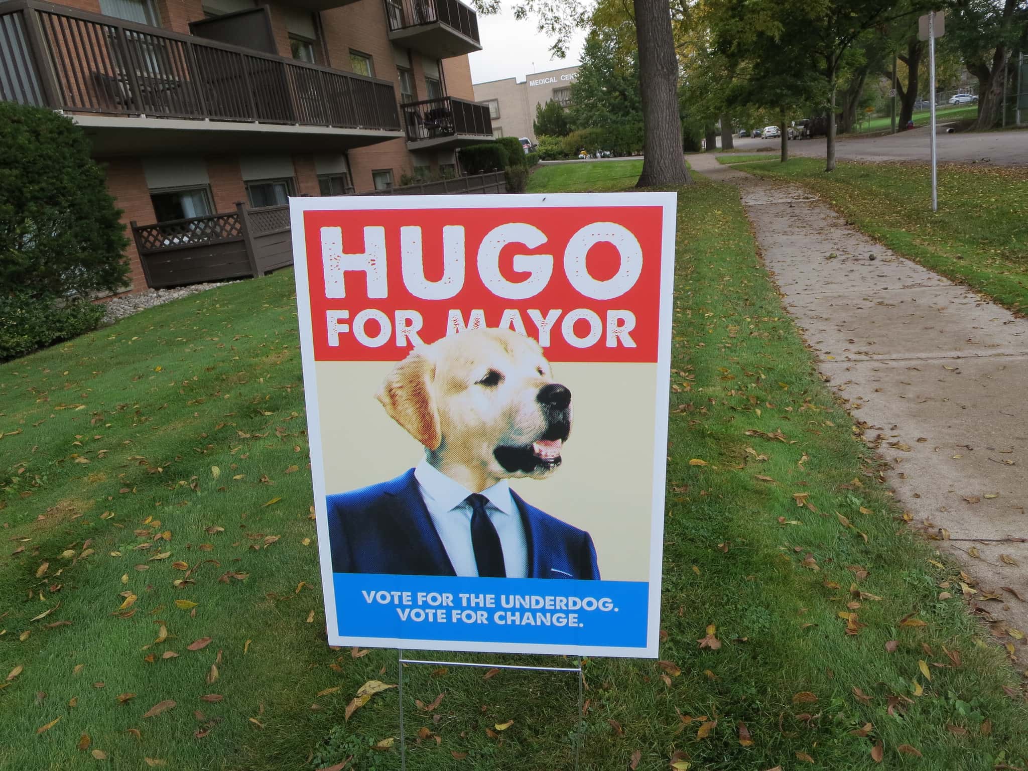 Dog as mayor sign.