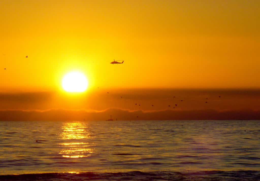 Two and a Half Men fact