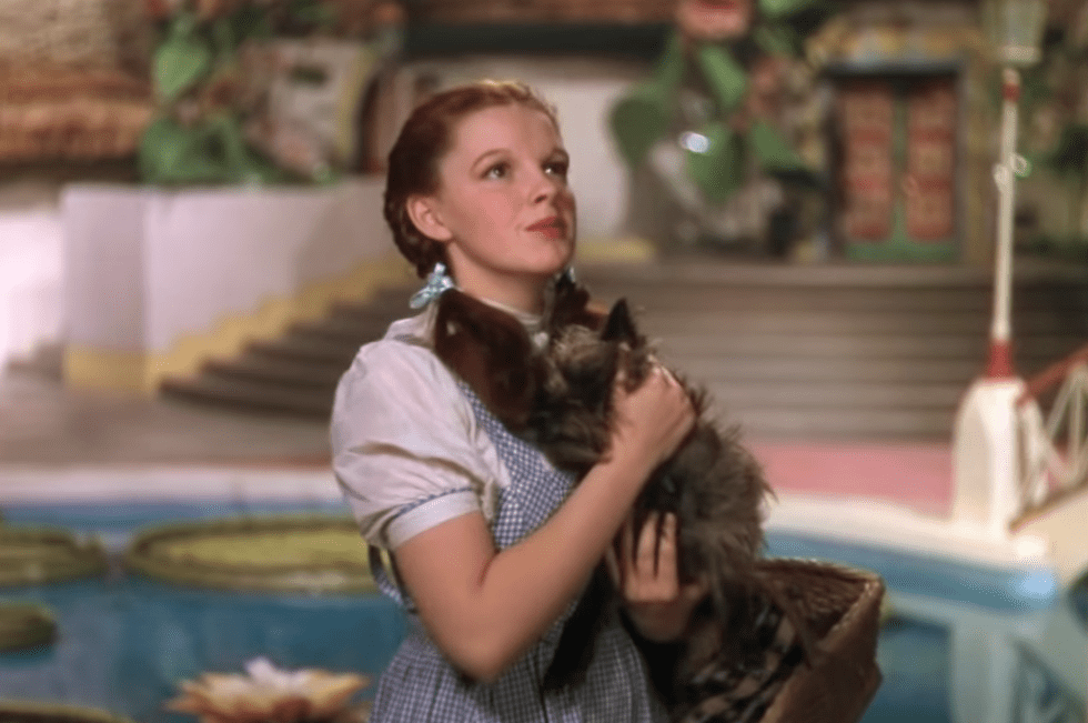 The Wizard of Oz facts