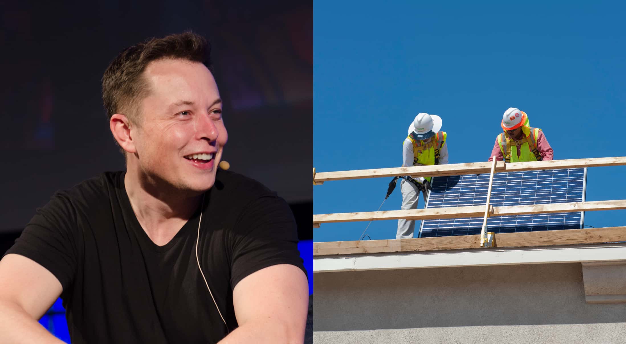 Elon Musk Facts