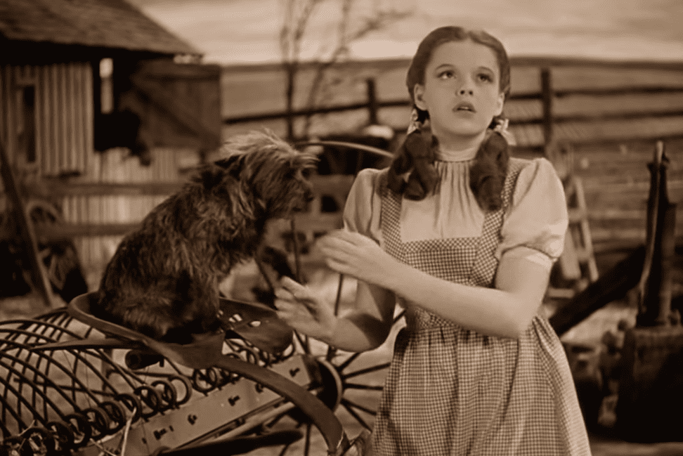 The Wizard of Oz facts