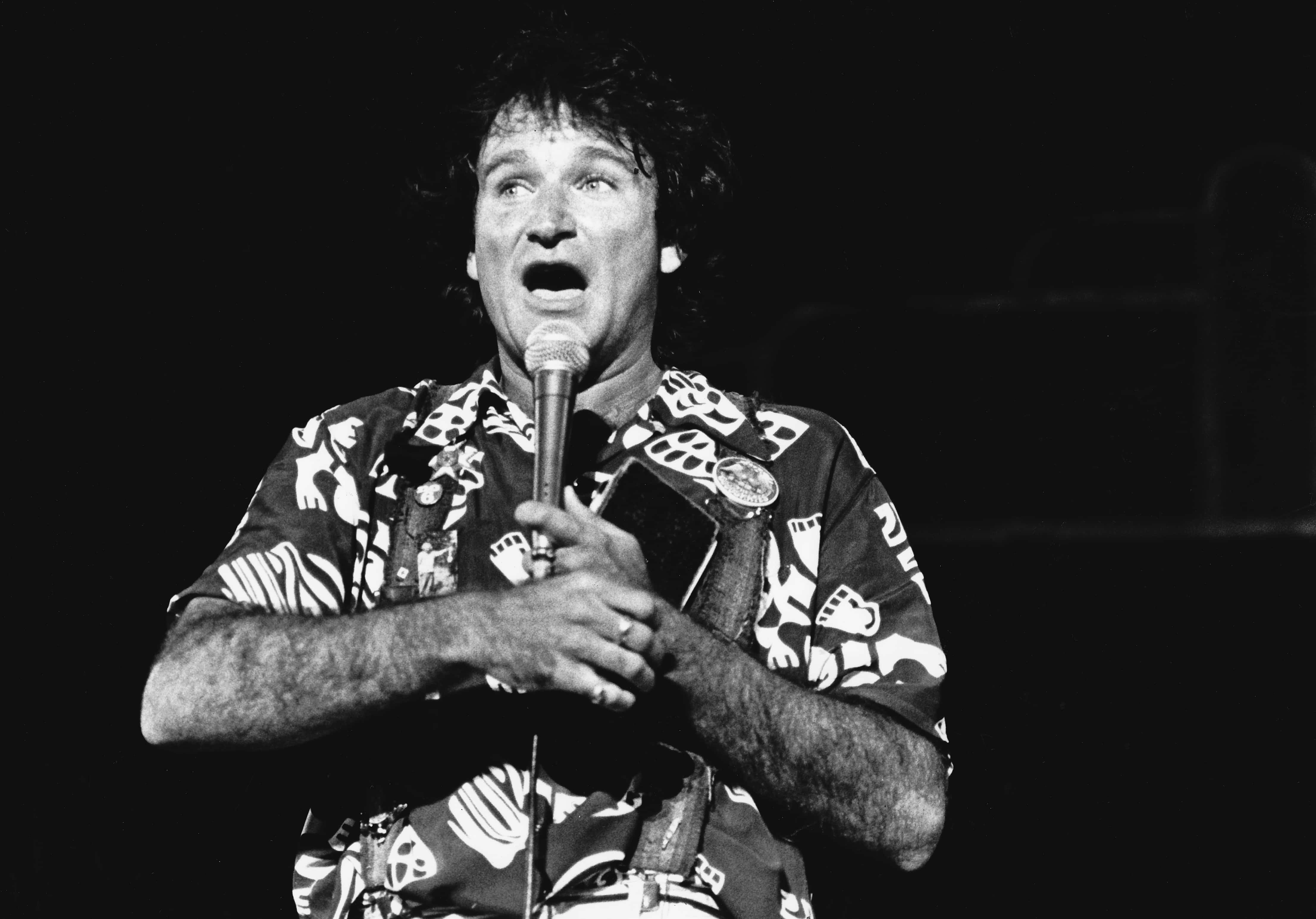 Robin Williams performs at the Universal Amphitheater 