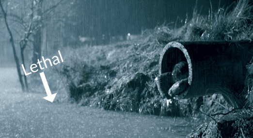 Screen Shot 2017-02-21 at 6.32.16 PM