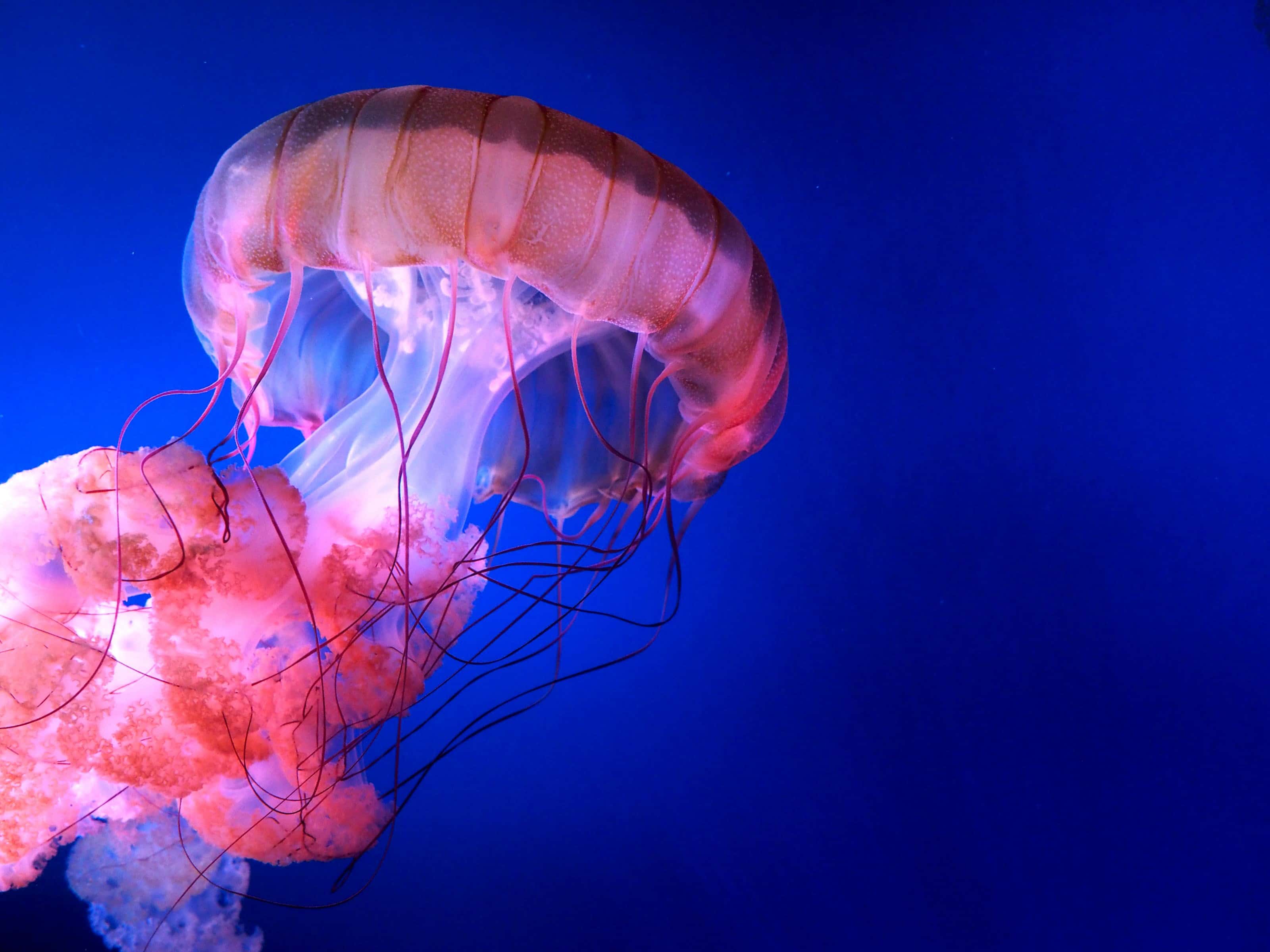 Matrix Trilogy Facts