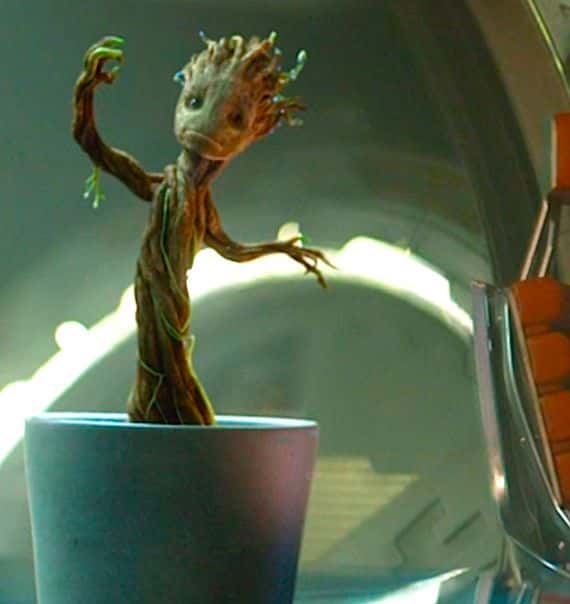 groot dance
