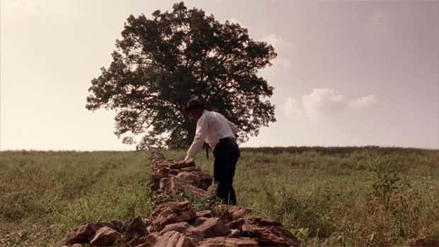 shawshank-tree