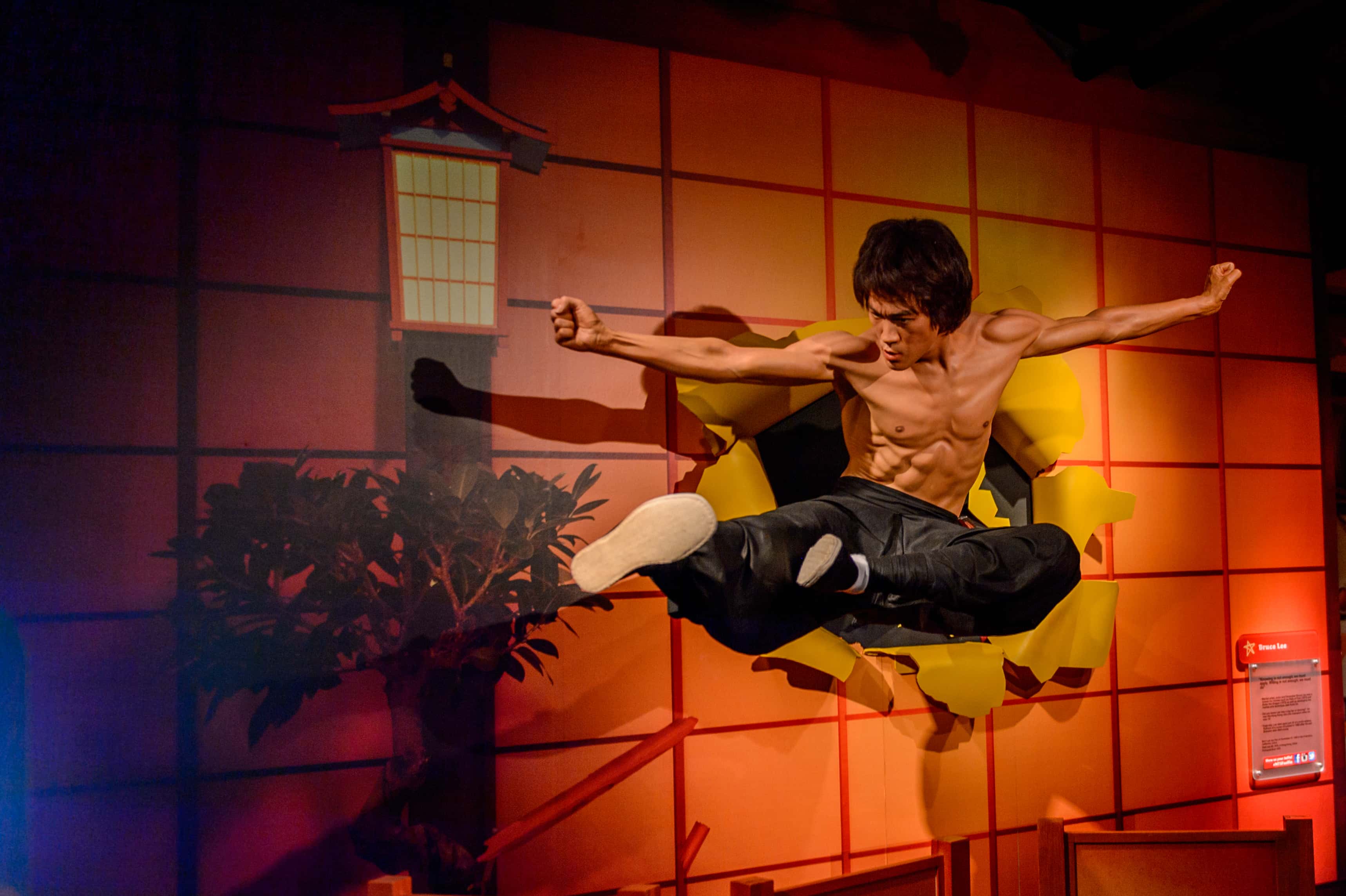 Bruce Lee in action