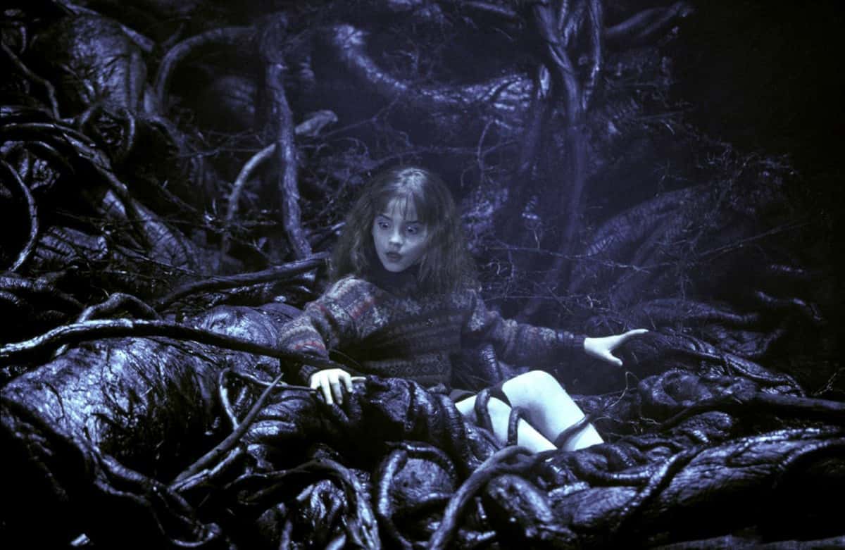 Harry Potter and the Sorcerer’s Stone facts