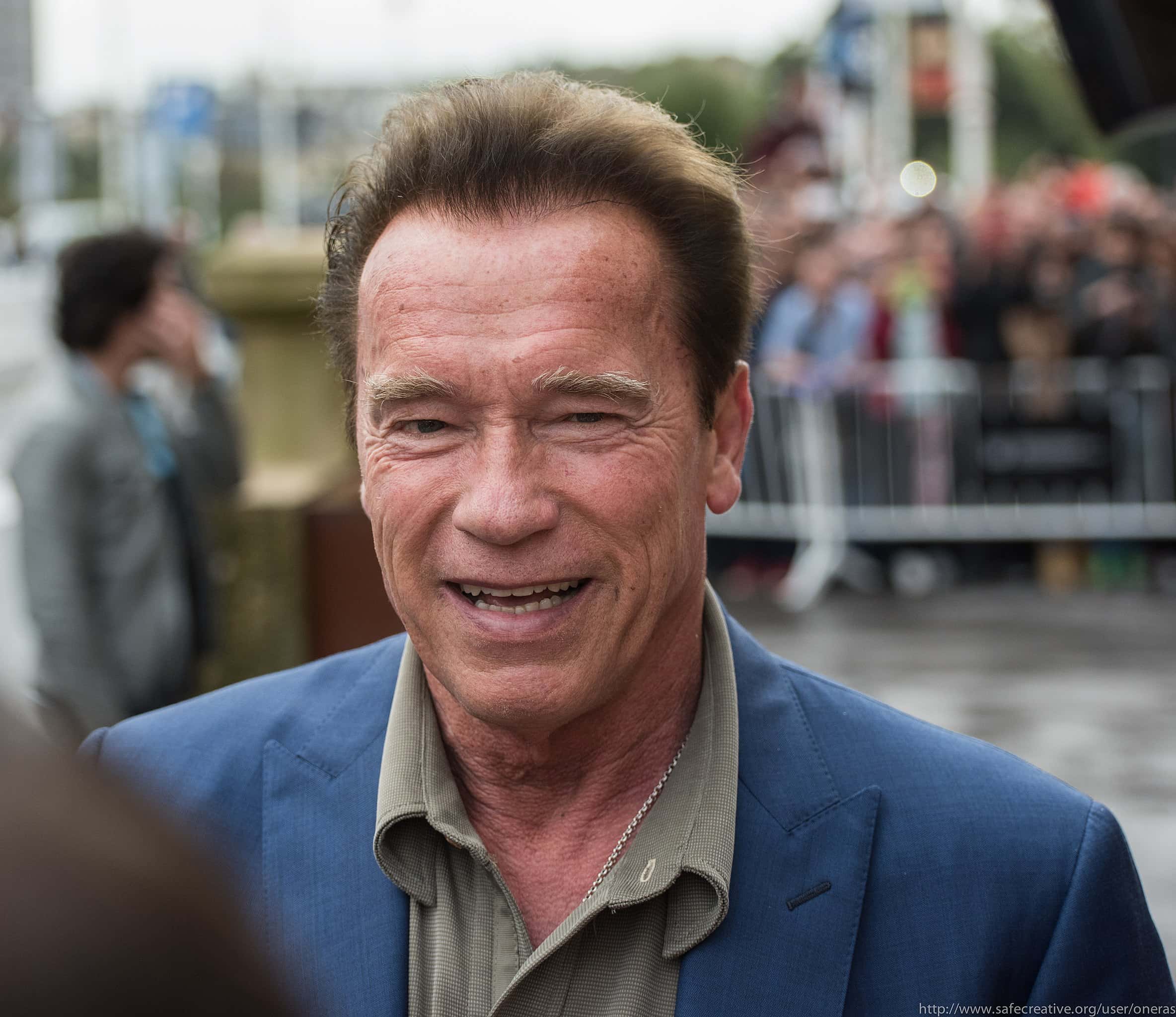 Arnold Schwarzenegger facts