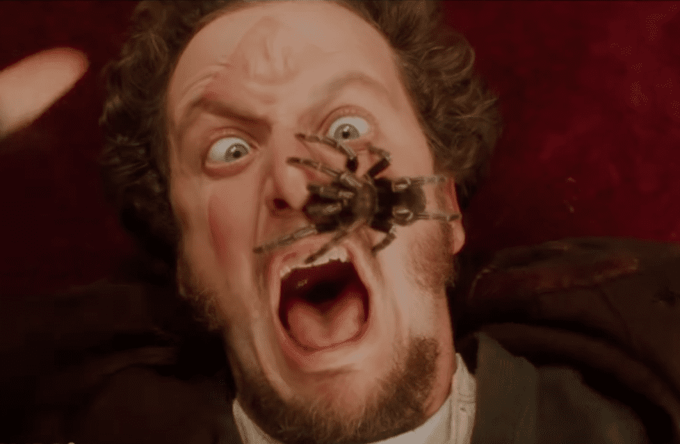 A screenshot from the movie Home Alone