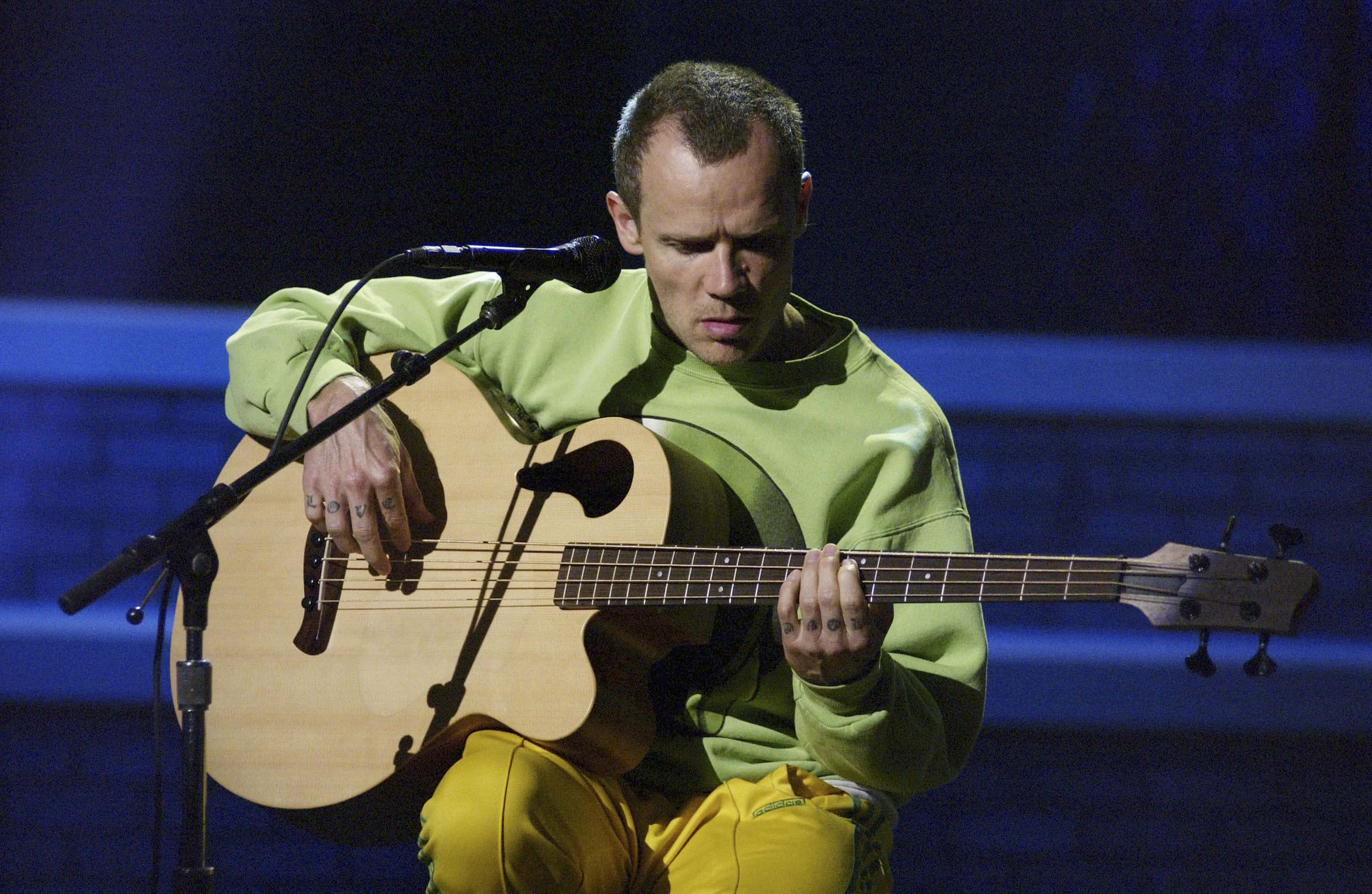 Red Hot Chili Peppers facts