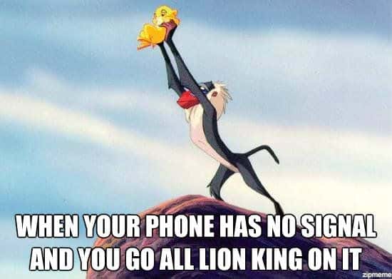 Lion King Meme