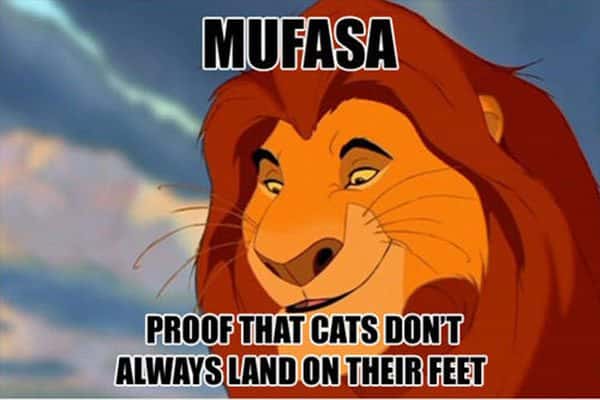 Mufasa Dead Meme