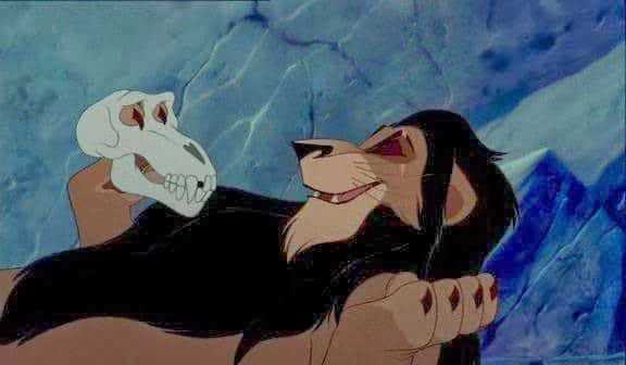 Scar holds skull