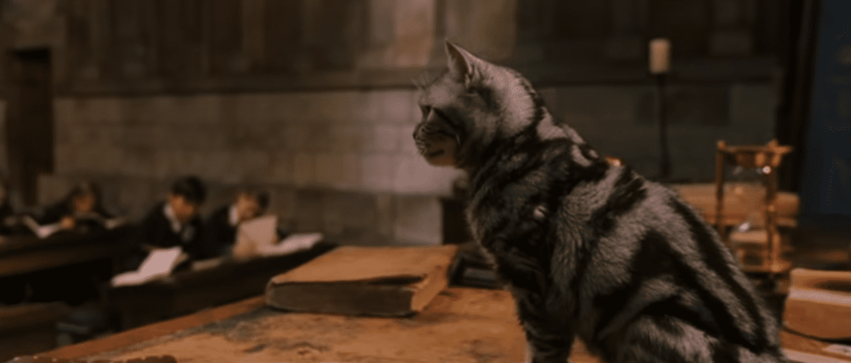 Harry Potter and the Sorcerer's Stone Facts