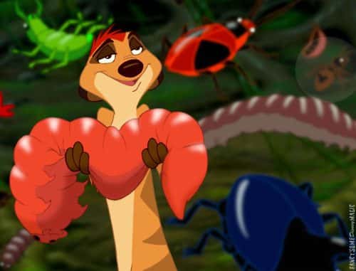 Timon Bug Mickey Ears