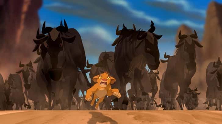 Wildebeest Stampede