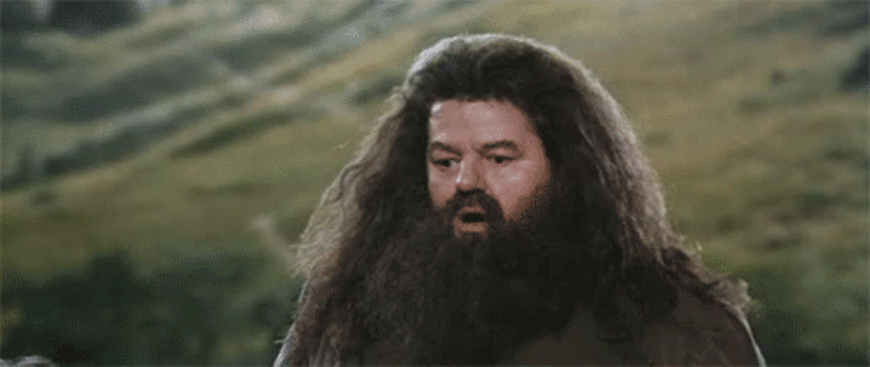 Harry Potter and the Sorcerer’s Stone facts