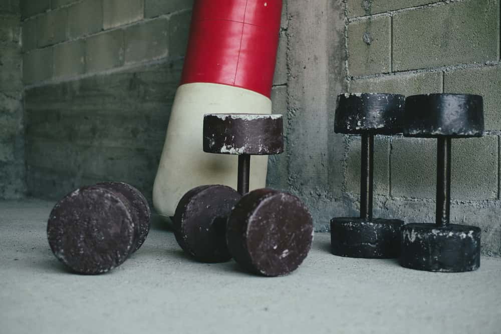 Arnold Schwarzenegger facts