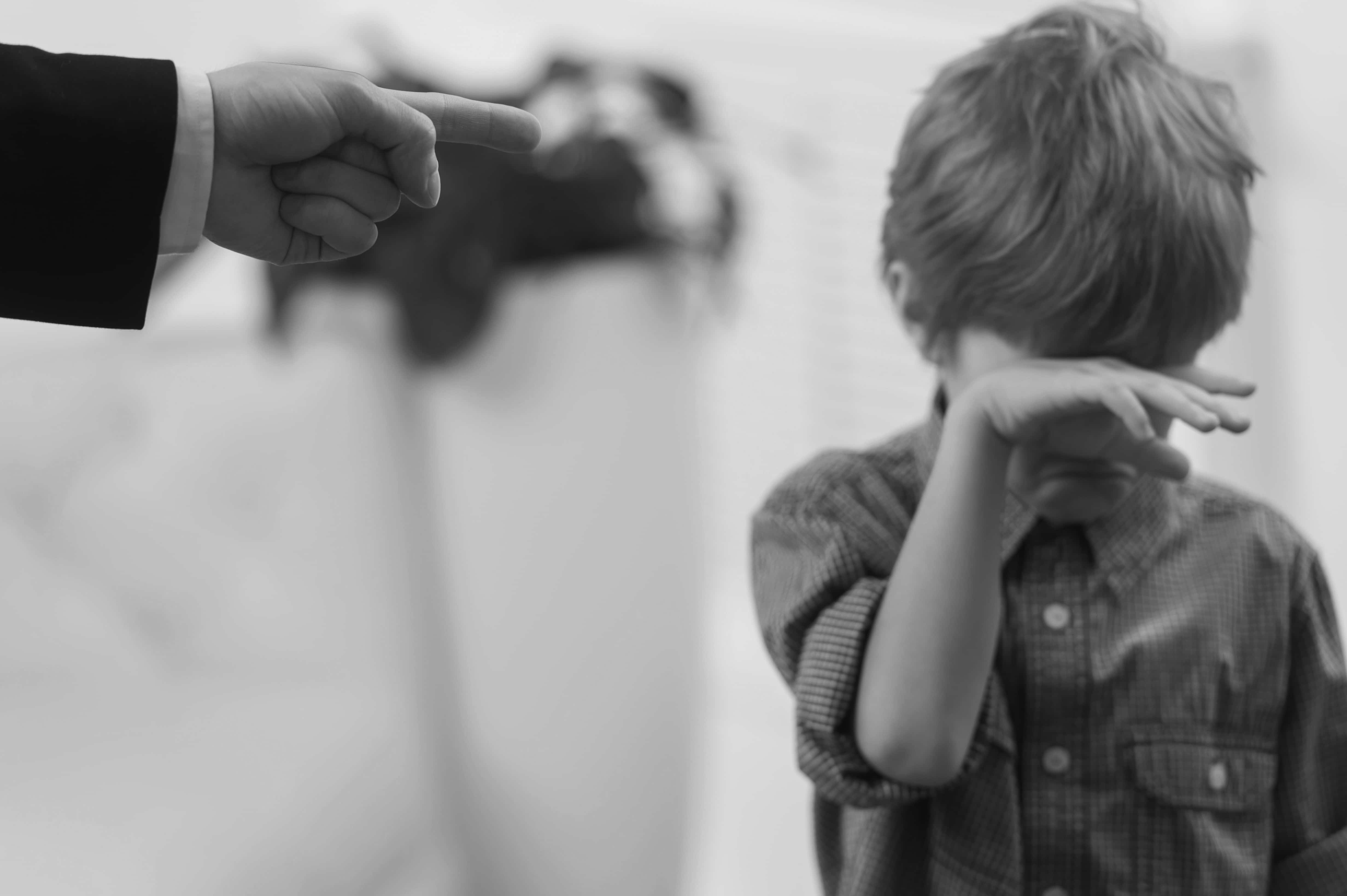 Arnold Schwarzenegger facts 