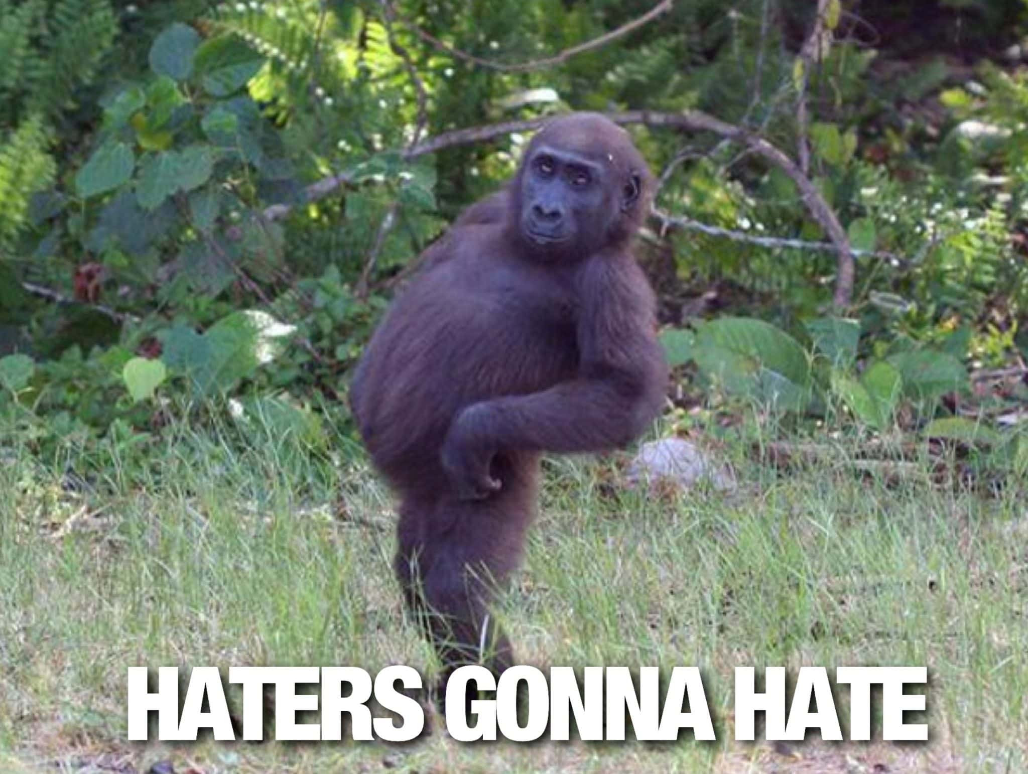 Chance the Rapper facts