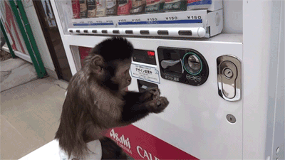 Ancient Greece Facts