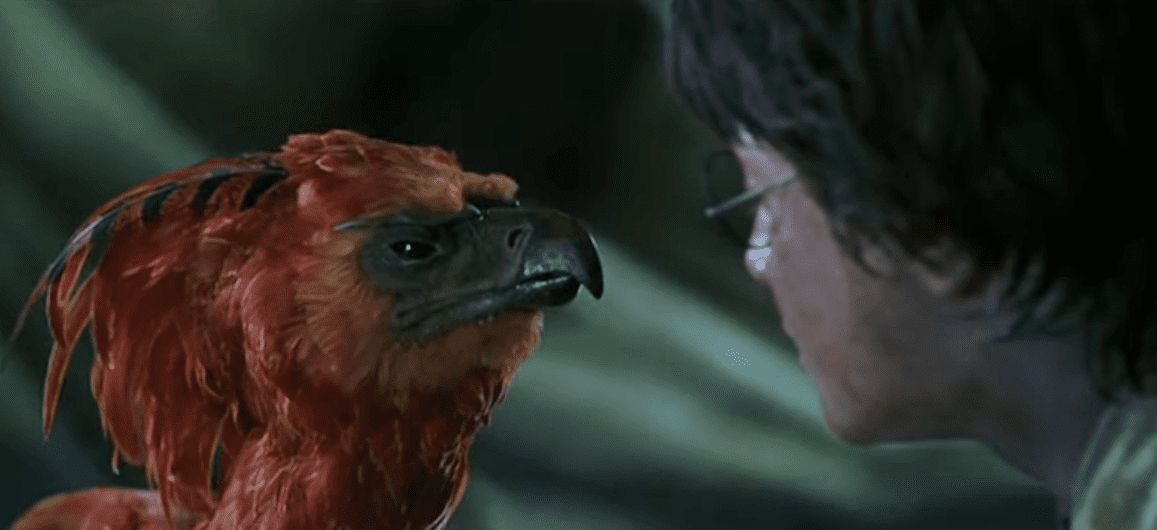 Harry Potter and the Chamber of Secrets facts