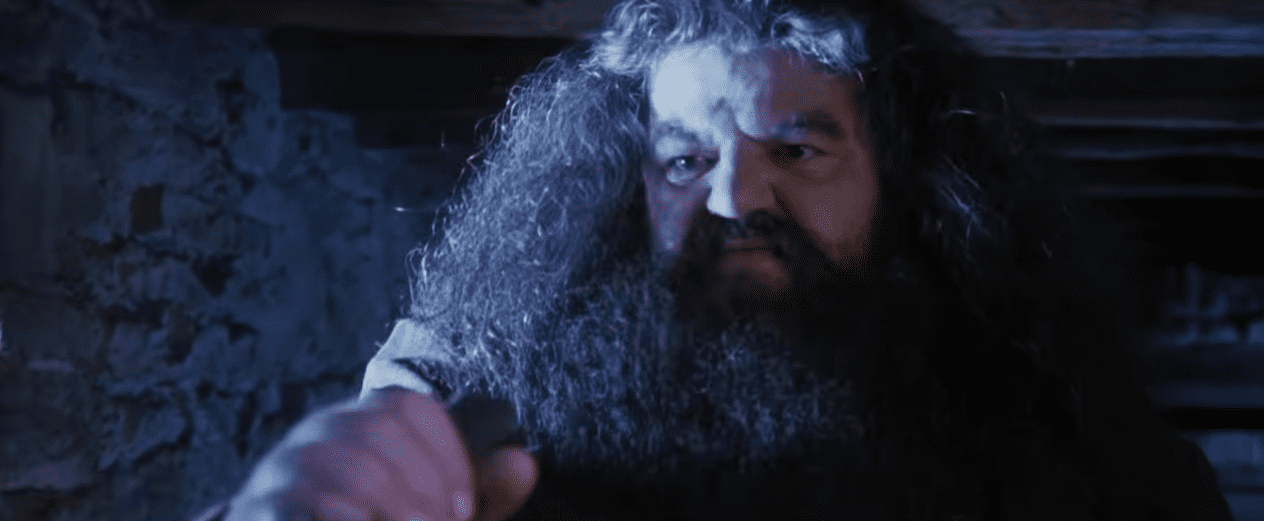 Harry Potter and the Chamber of Secrets facts