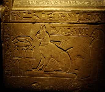 Ancient Egypt Facts