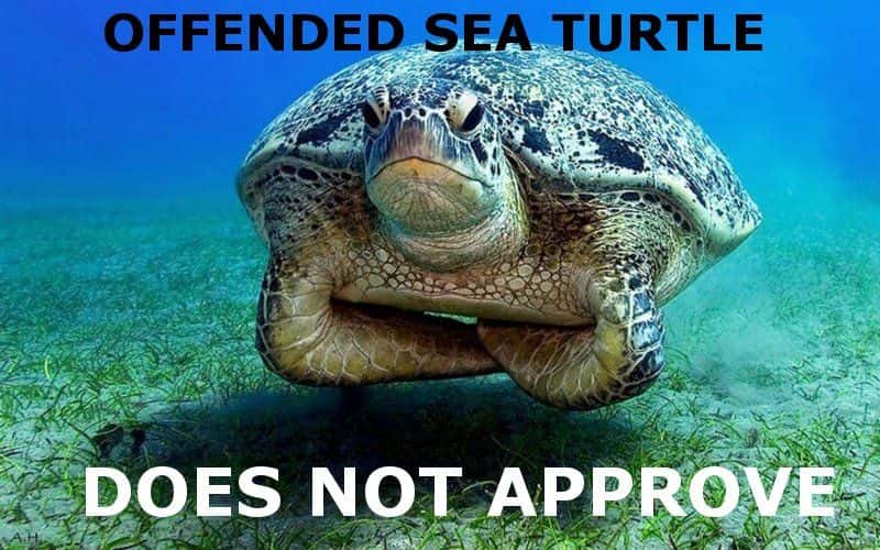 Inglourious Basterds facts