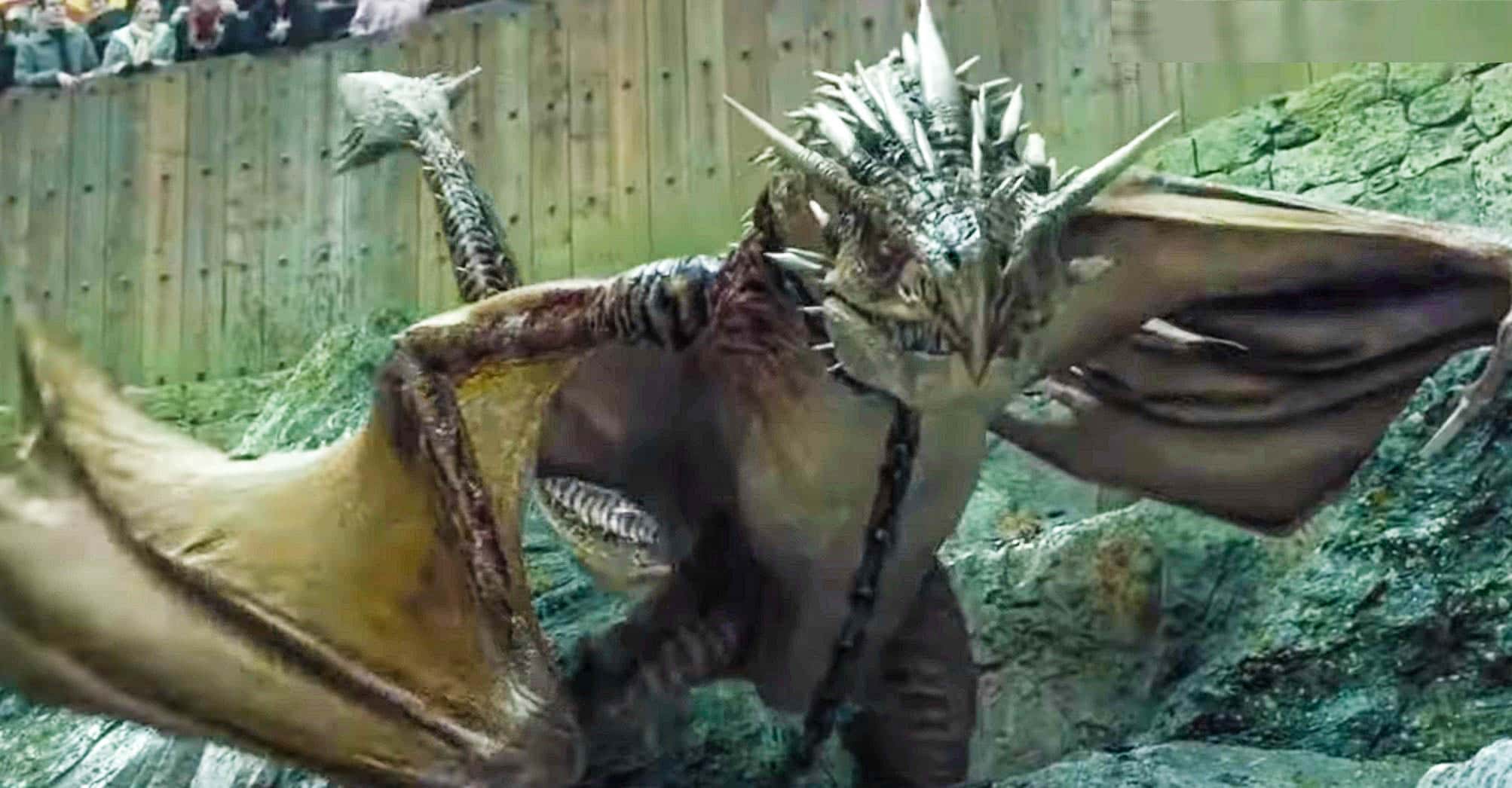 Harry Potter And The Goblet of Fire Facts