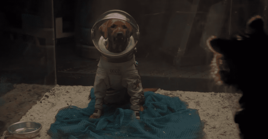 Marvel Cinematic Universe Facts