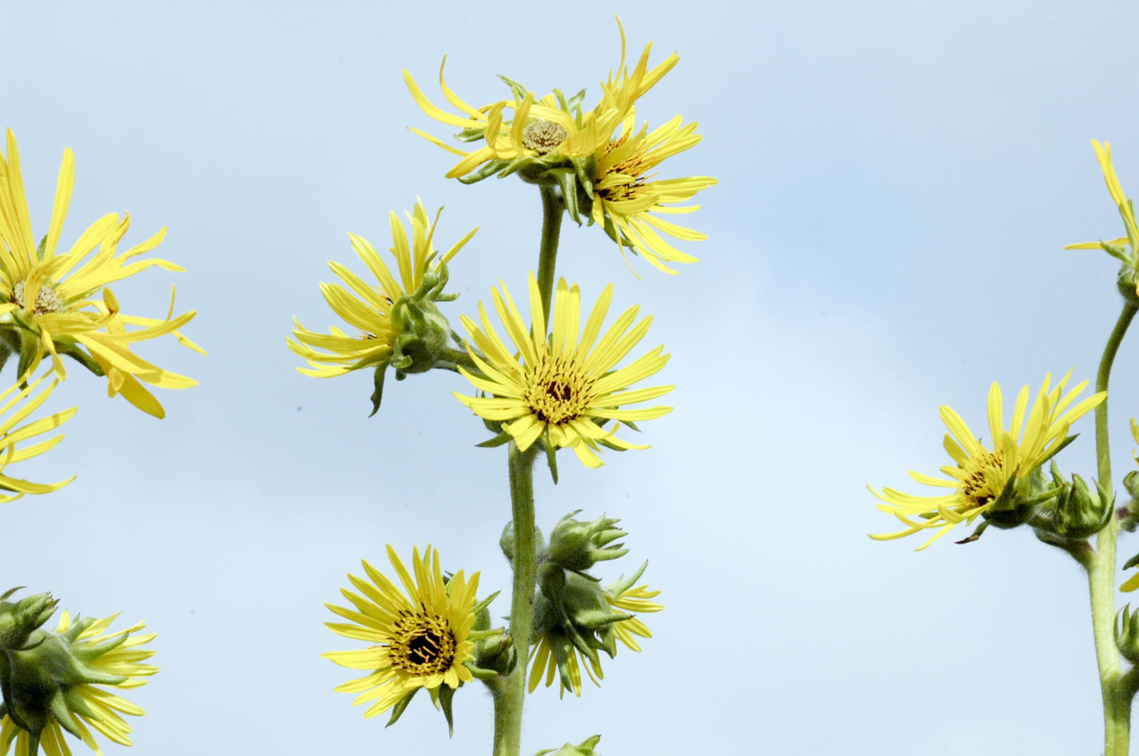 Scandalous Historical Facts