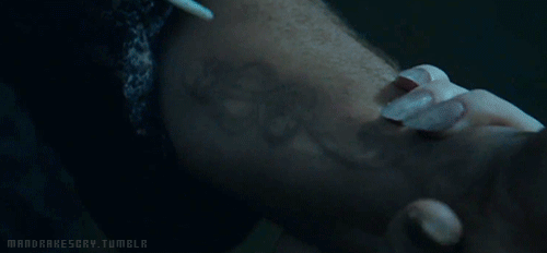 Harry Potter and the Goblet of Fire Facts