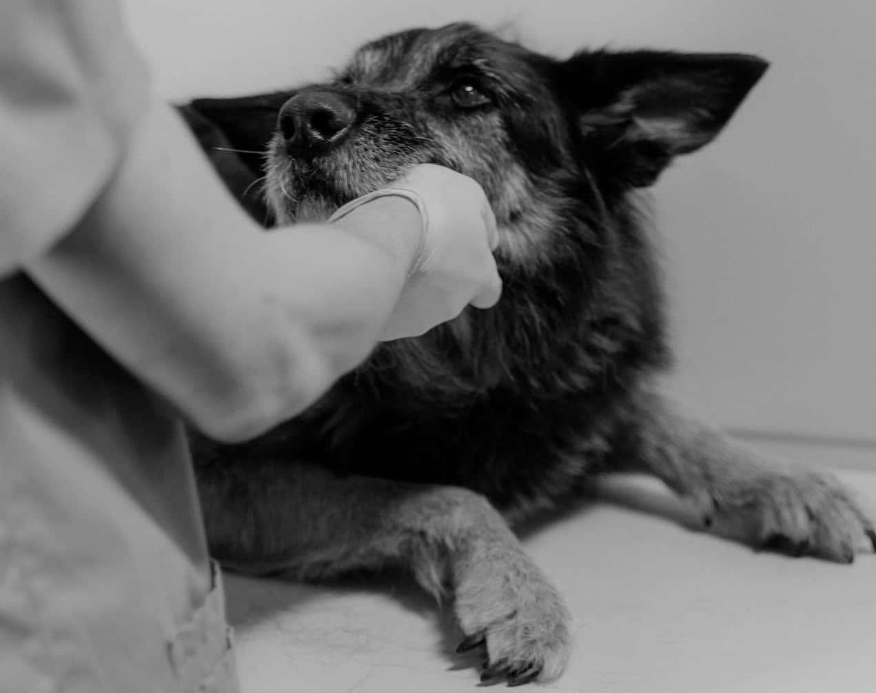 Surprising Facts About Famous Scientists