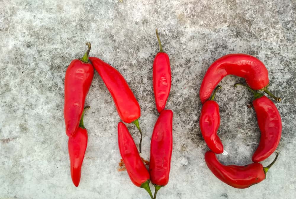 The American Civil War Facts