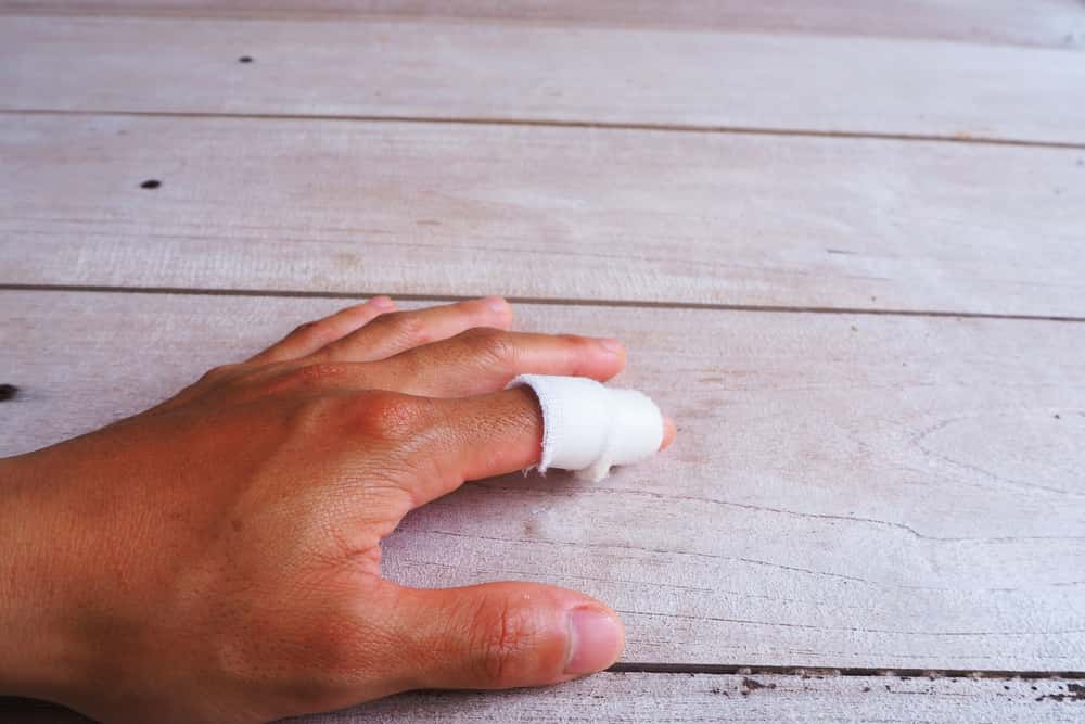 Organized Crime Facts