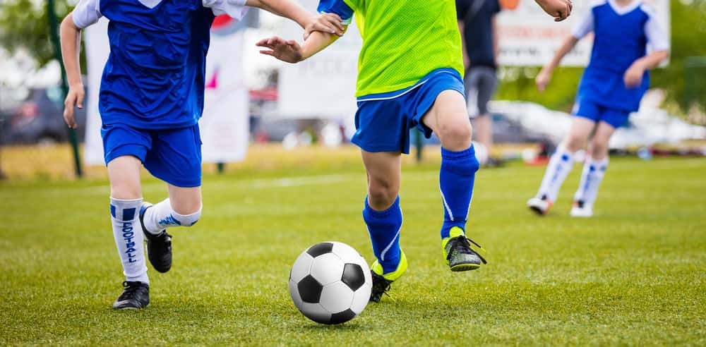 Organized Crime Facts