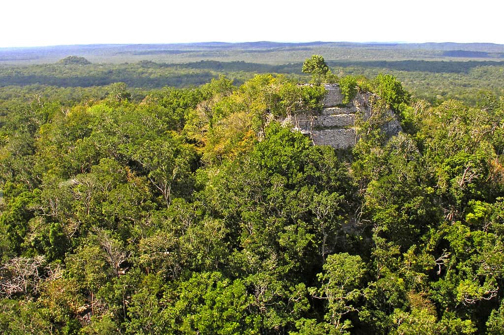 Ancient Civilizations Facts