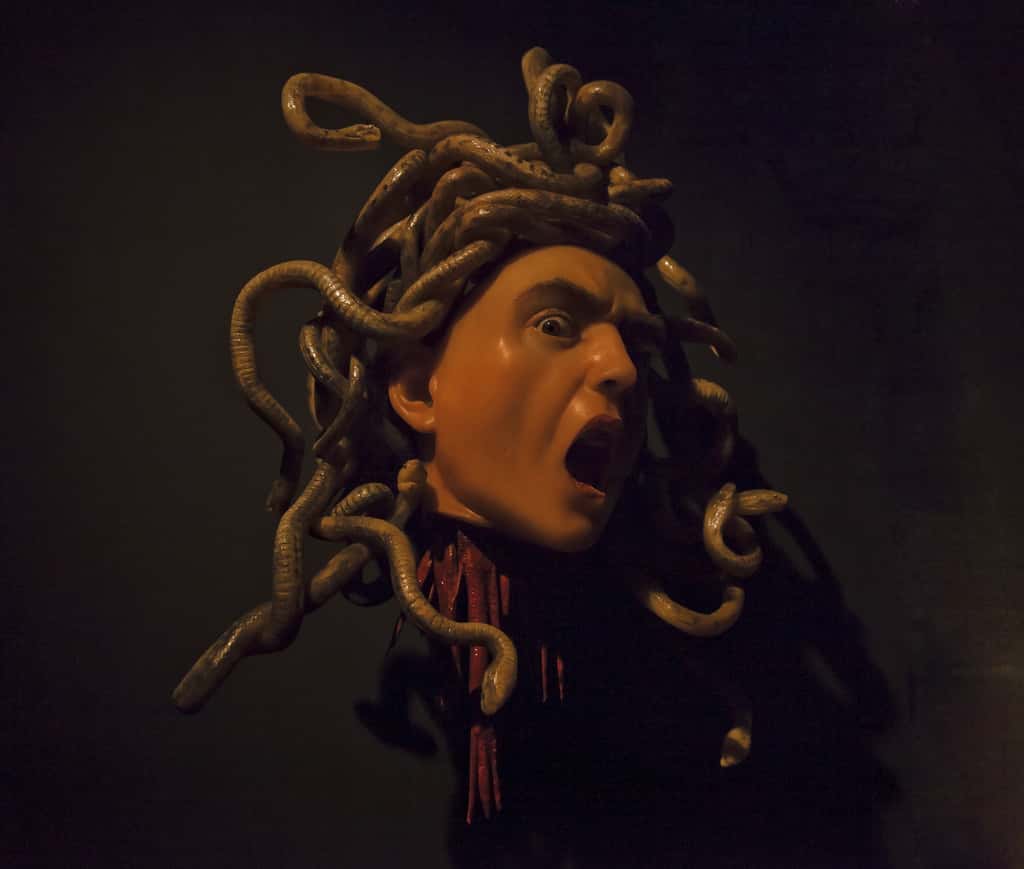 Medusa