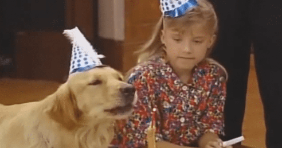 Little Known Facts About Full House Factinate